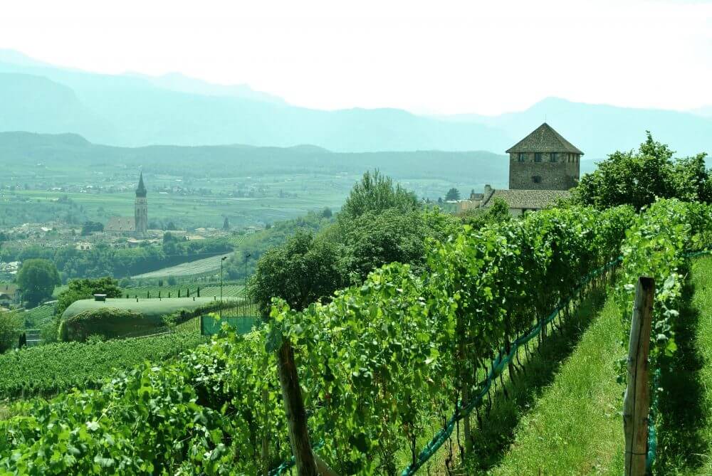 Südtiroler Weinstraße La Strada del Vino dell`Alto Adige Reisen